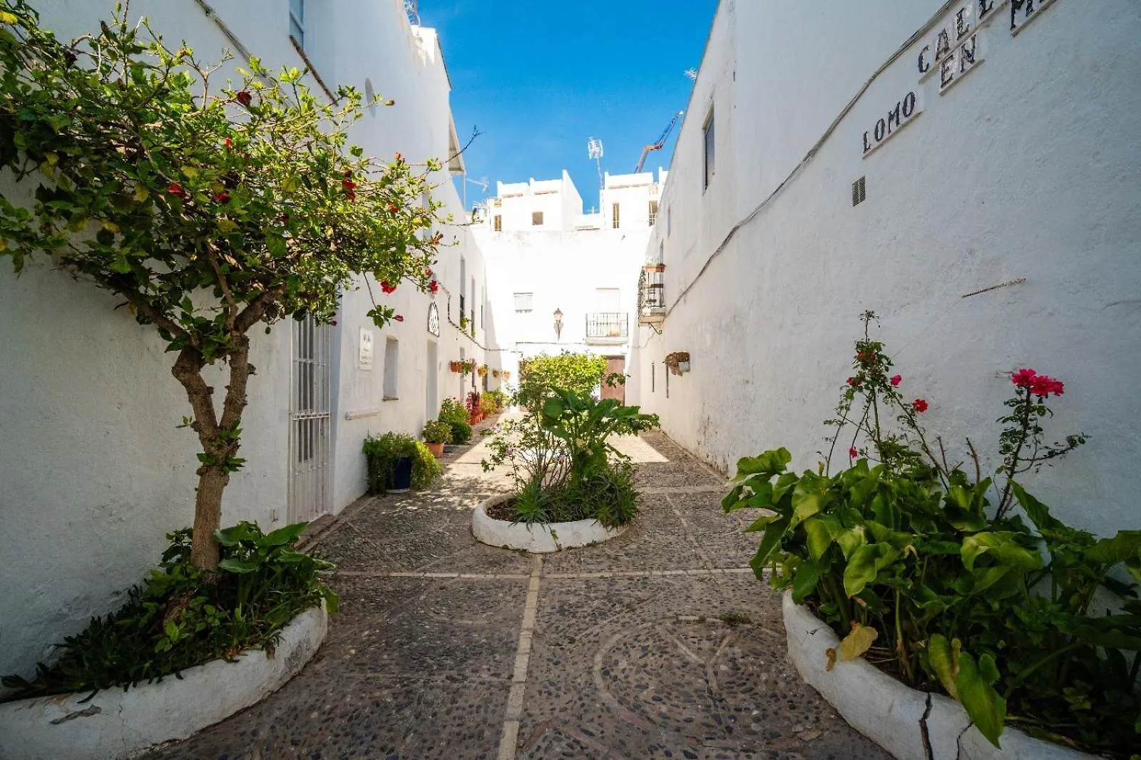 Casa Hibiscus Villa Vejer de la Frontera 0*,  Spain